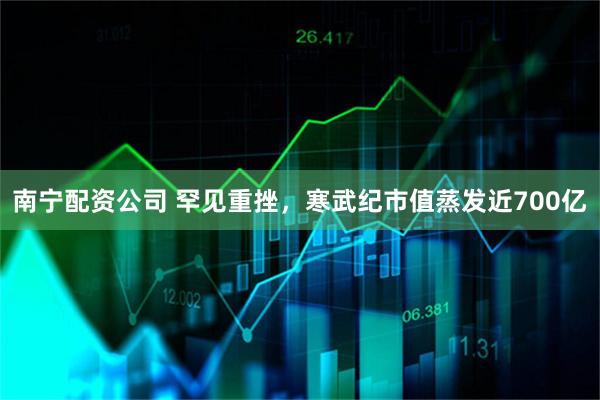 南宁配资公司 罕见重挫，寒武纪市值蒸发近700亿